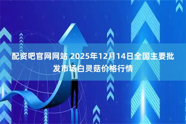 配资吧官网网站 2025年12月14日全国主要批发市场白灵菇价格行情