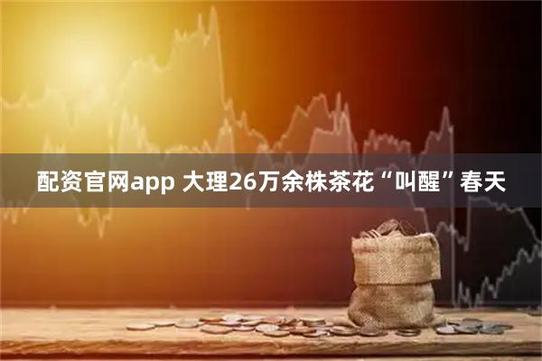 配资官网app 大理26万余株茶花“叫醒”春天